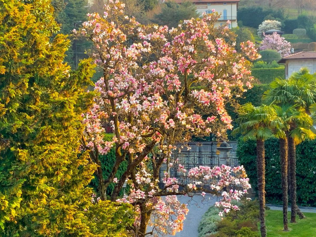 Villa Morosini 贝拉焦 外观 照片